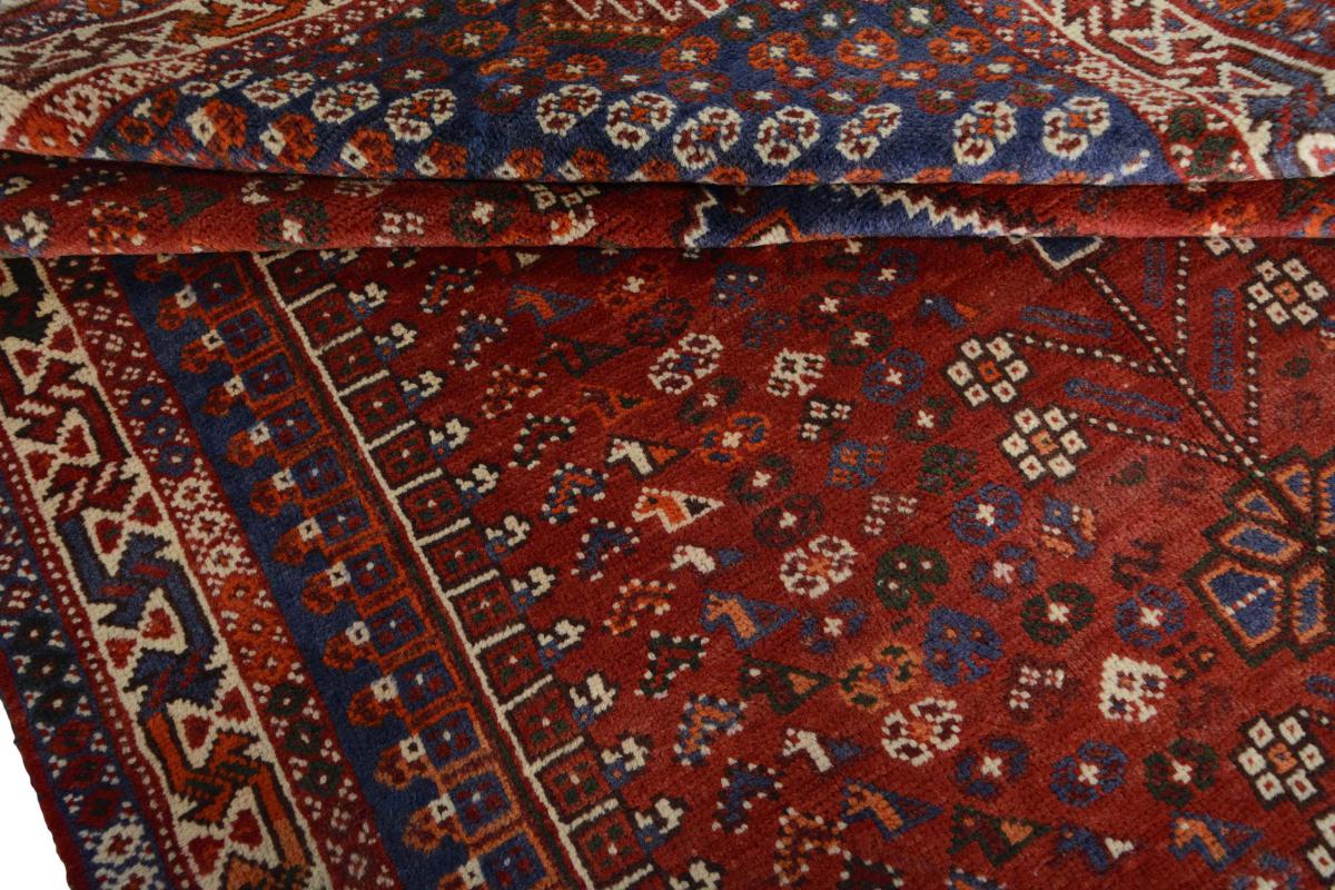 Shiraz - 1