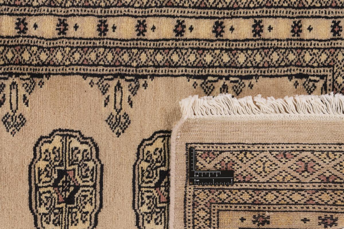 Pakistan Buchara 2ply - 1