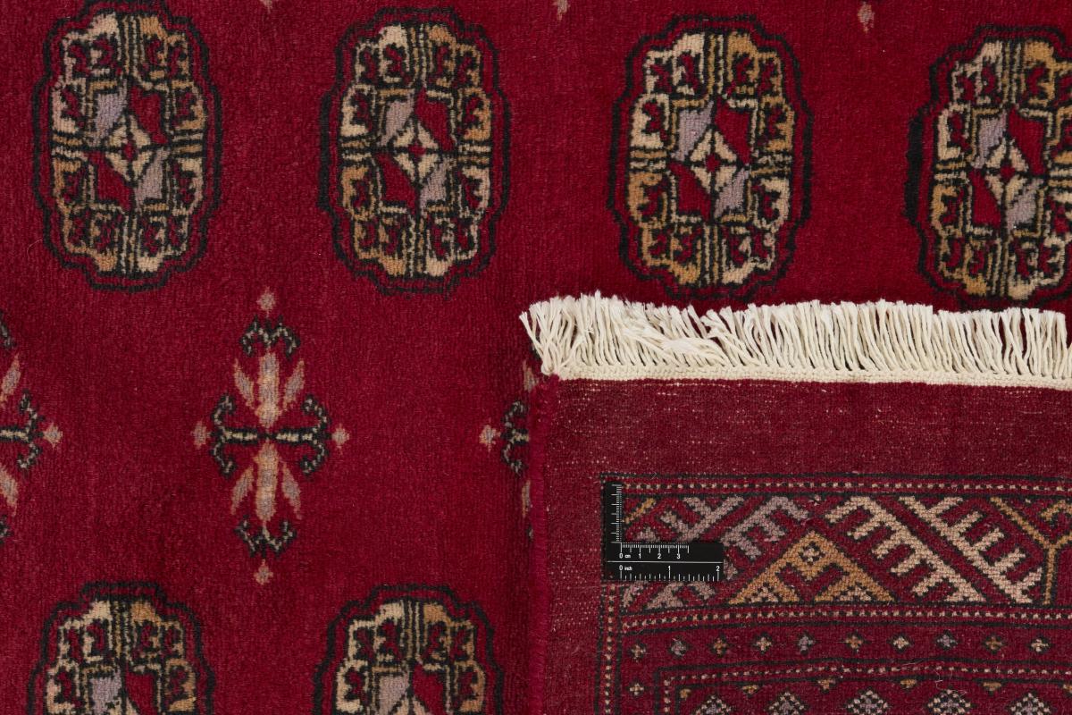 Pakistański Buchara 3ply - 1