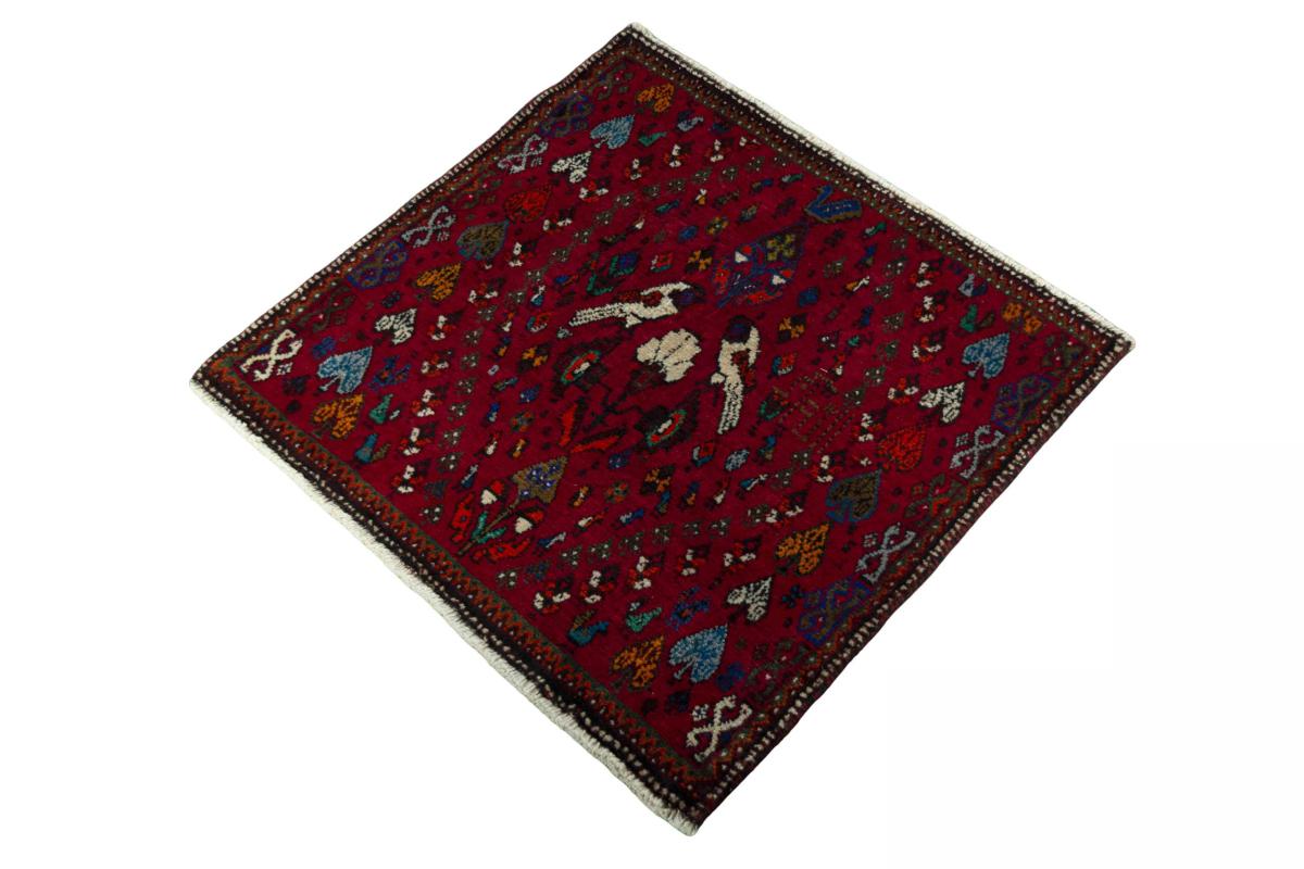 Shiraz - 1