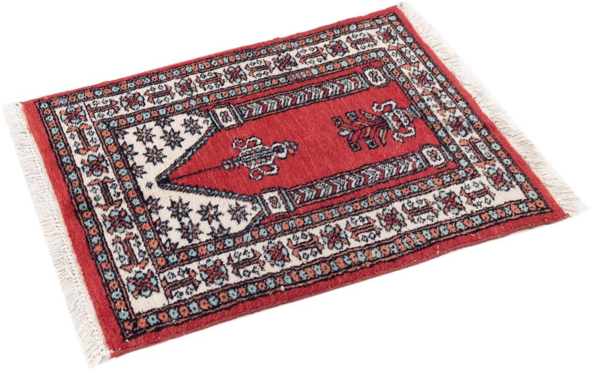 Pakistański Buchara 3Ply - 1