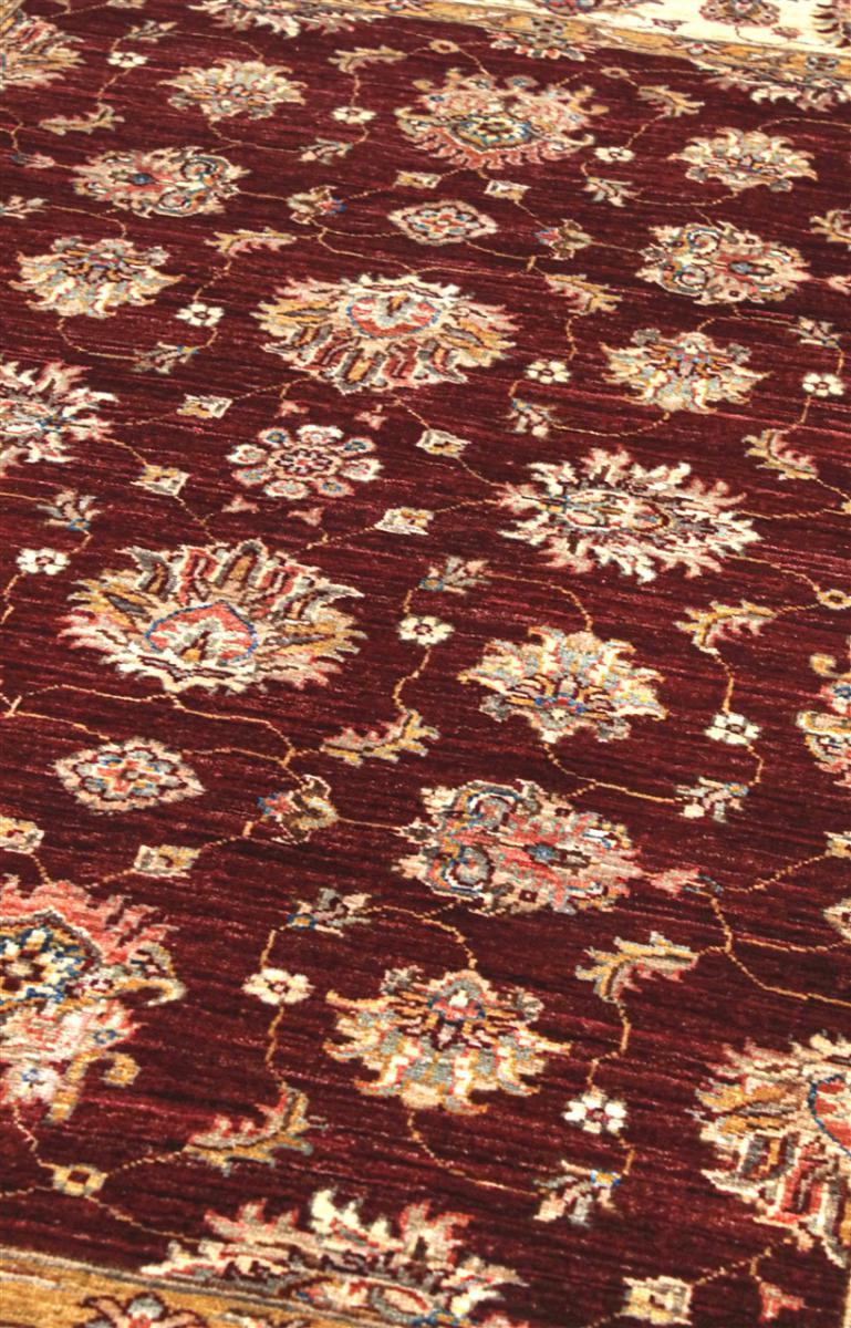Ziegler Farahan - 1
