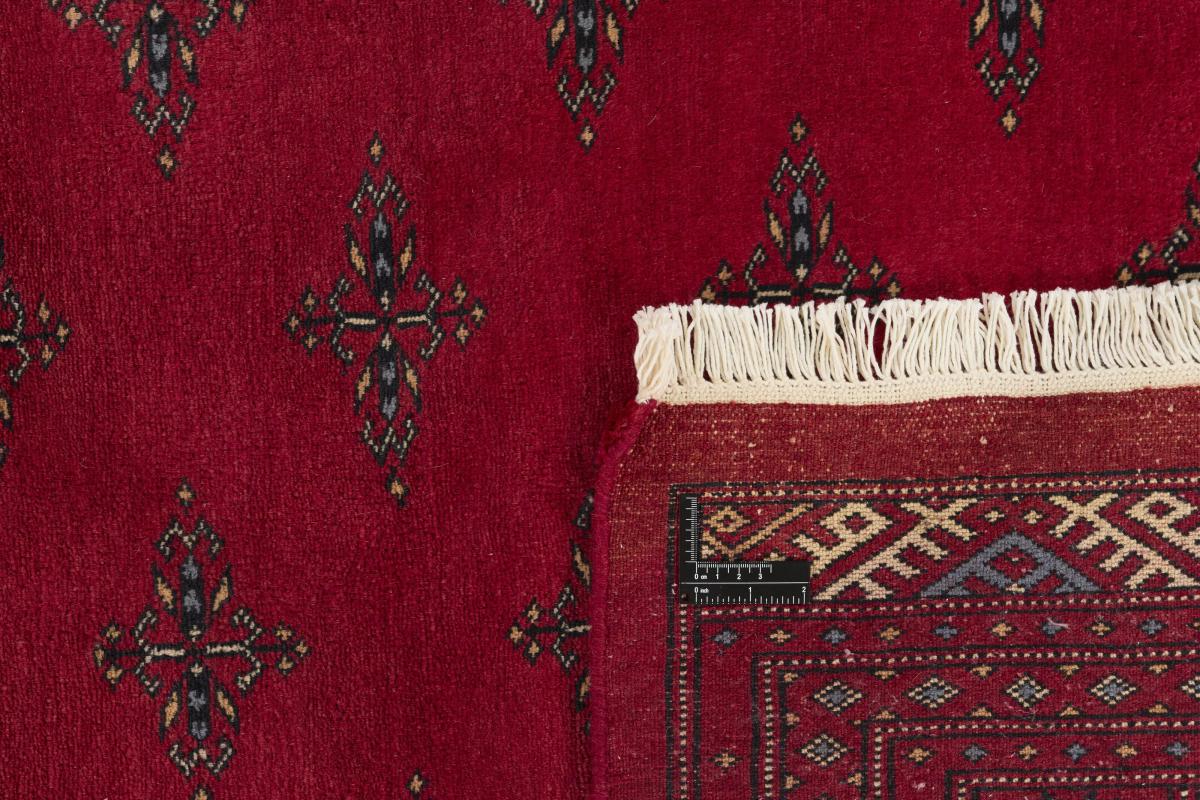 Pakistański Buchara 3ply - 1