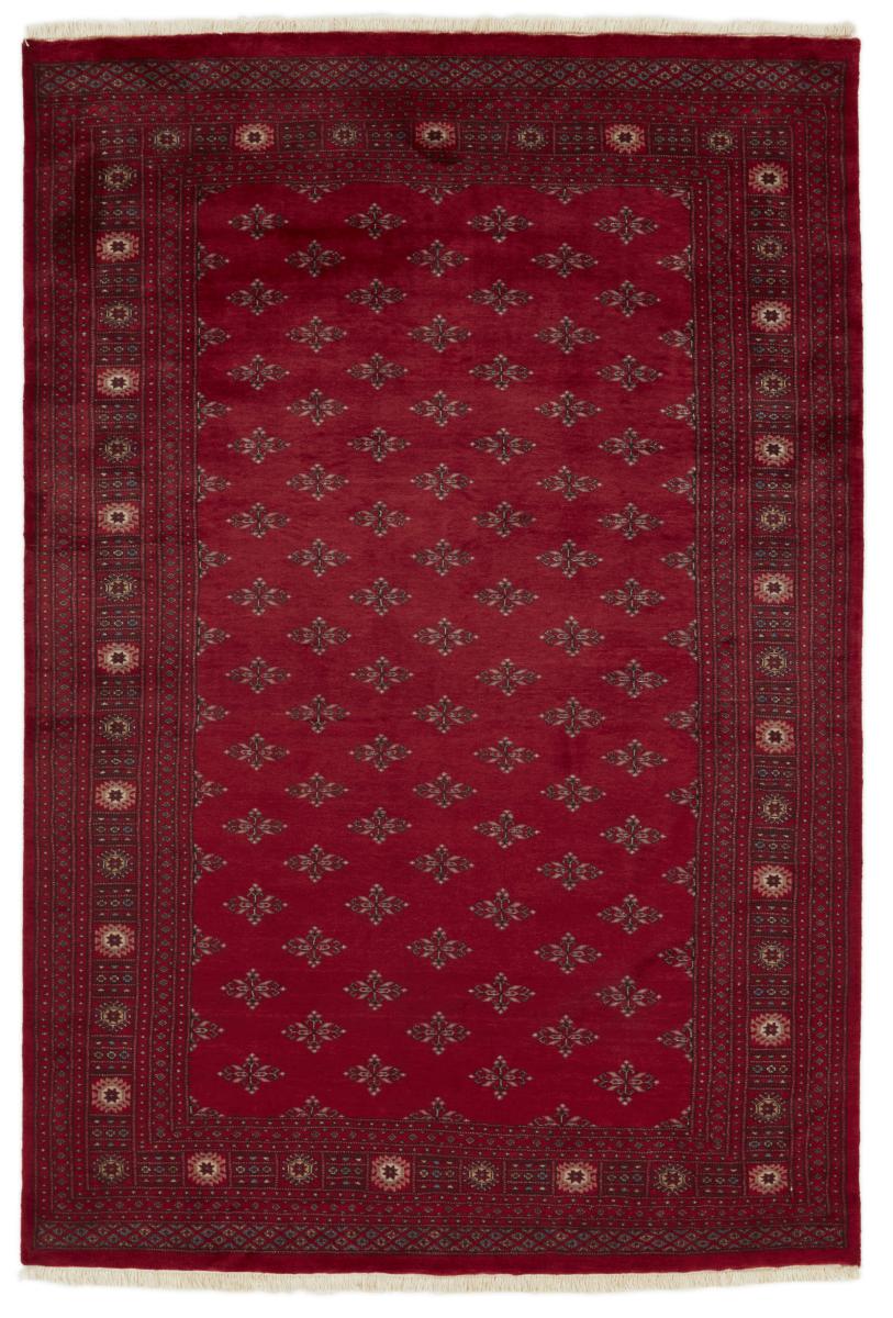 Dywan pakistański Pakistański Buchara 3ply 299x201 299x201, Dywan perski Ręcznie tkane