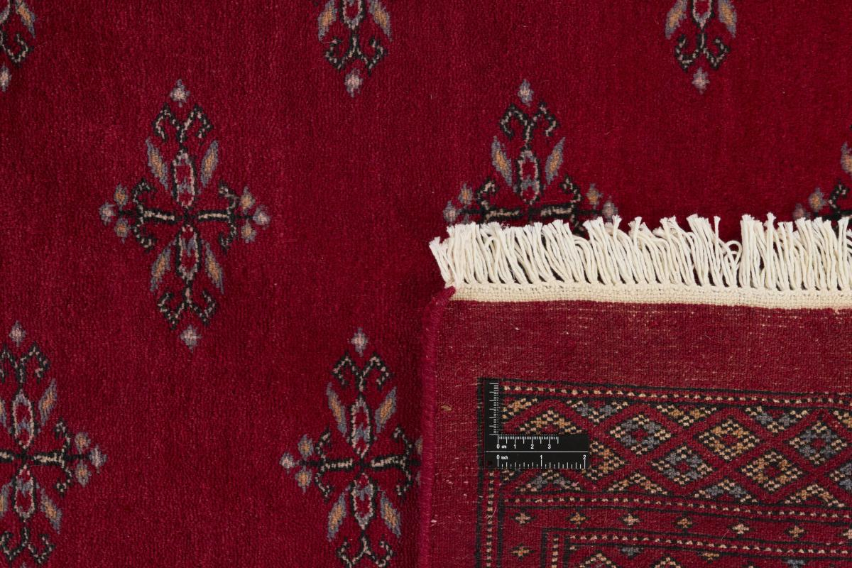 Pakistański Buchara 3ply - 1