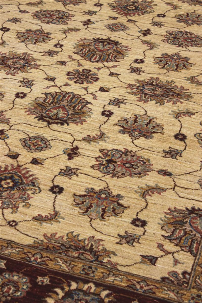 Ziegler Farahan - 1