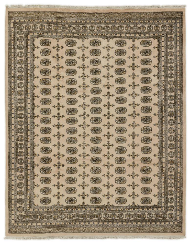 Alfombra pakistaní Pakistan Buchara 2ply 309x244 309x244, Alfombra persa Anudado a mano