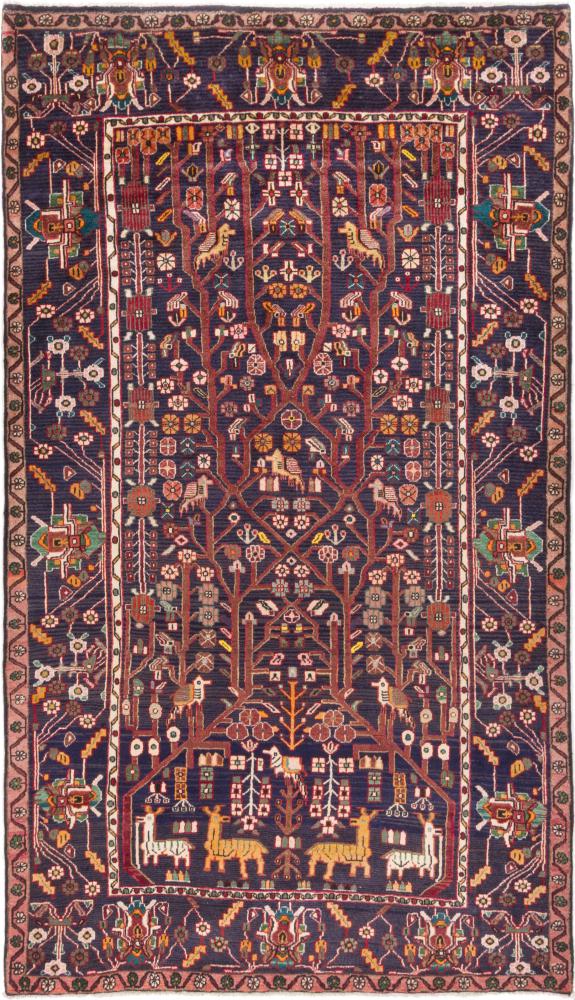 Persian Rug Nahavand 268x154 268x154, Persian Rug Knotted by hand