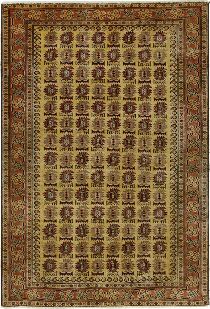 Alfombra afgana Kazak Limited 175x117 175x117, Alfombra persa Anudado a mano