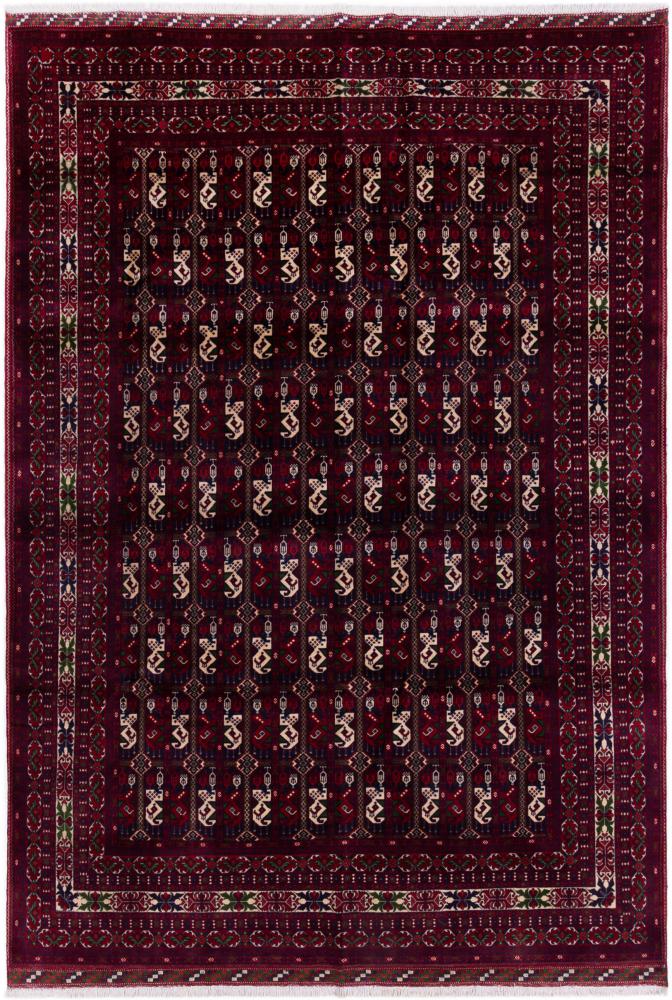 Afghanischer Teppich Khal Mohammadi 291x200 291x200, Perserteppich Handgeknüpft