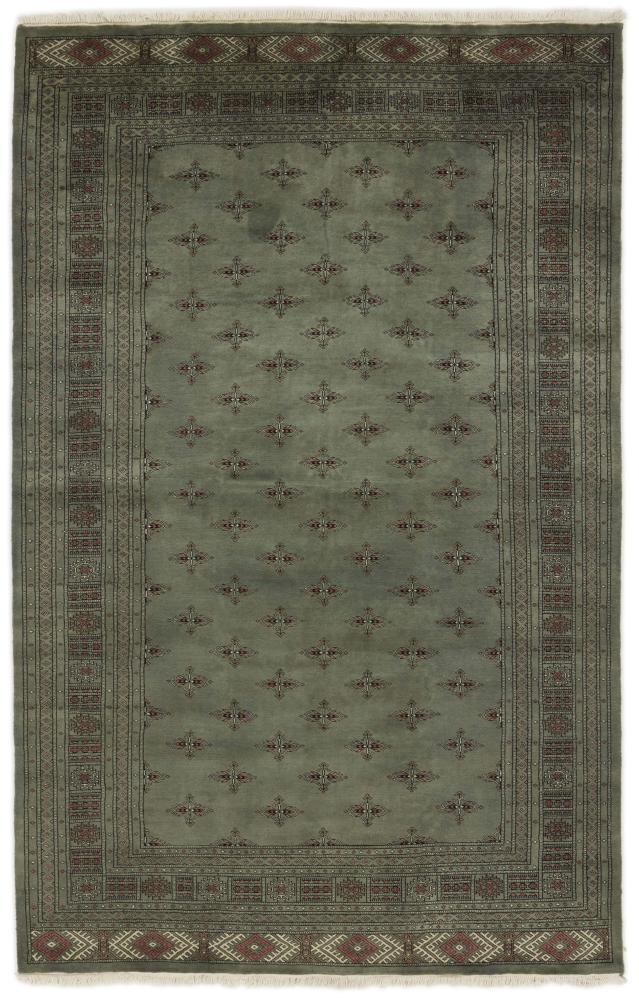 Dywan pakistański Pakistański Buchara 3ply 313x200 313x200, Dywan perski Ręcznie tkane