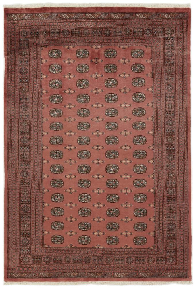 Dywan pakistański Pakistański Buchara 3ply 297x201 297x201, Dywan perski Ręcznie tkane
