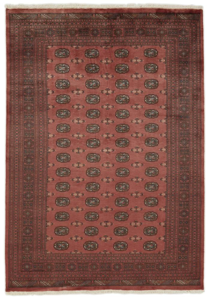 Dywan pakistański Pakistański Buchara 3ply 286x202 286x202, Dywan perski Ręcznie tkane