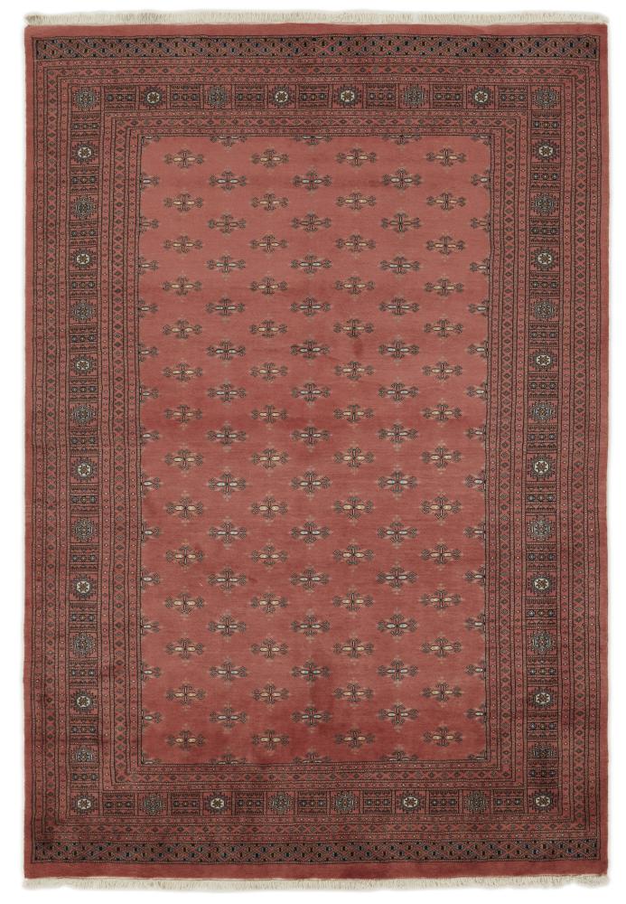 Dywan pakistański Pakistański Buchara 3ply 296x203 296x203, Dywan perski Ręcznie tkane