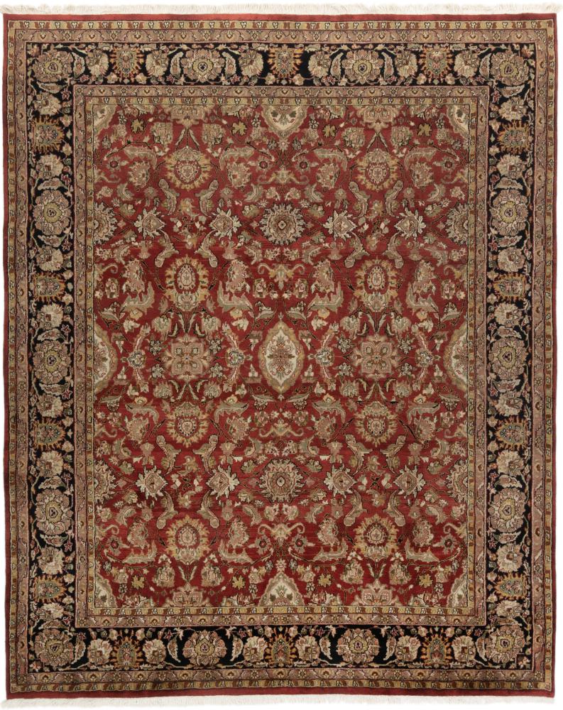 Tapis indien Indo Sarough 303x241 303x241, Tapis persan Noué à la main