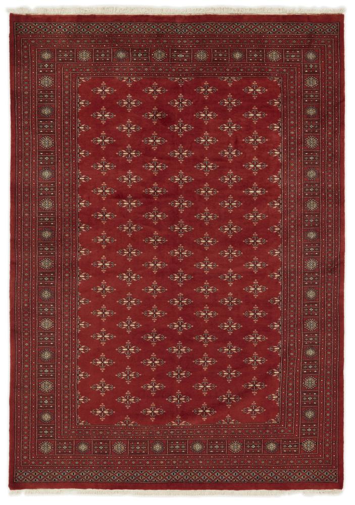 Dywan pakistański Pakistański Buchara 3ply 288x200 288x200, Dywan perski Ręcznie tkane