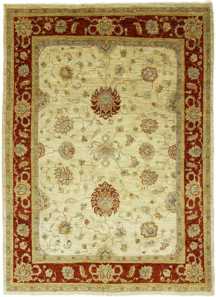 Afghansk tæppe Arijana Ziegler Farahan 247x175 247x175, Persisk tæppe Knyttet i hånden