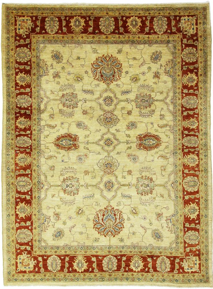 Afghansk tæppe Arijana Ziegler Farahan 236x172 236x172, Persisk tæppe Knyttet i hånden