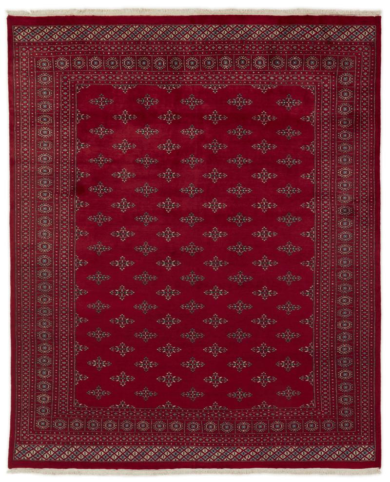 Alfombra pakistaní Pakistan Buchara 2ply 301x244 301x244, Alfombra persa Anudado a mano