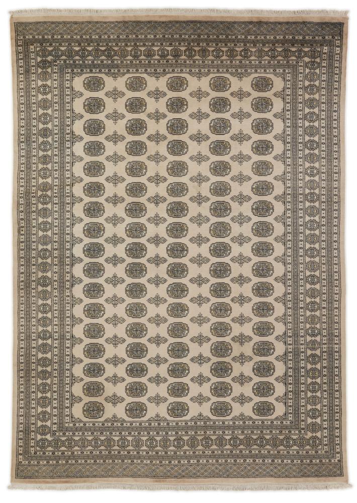 Alfombra pakistaní Pakistan Buchara 2ply 346x243 346x243, Alfombra persa Anudado a mano