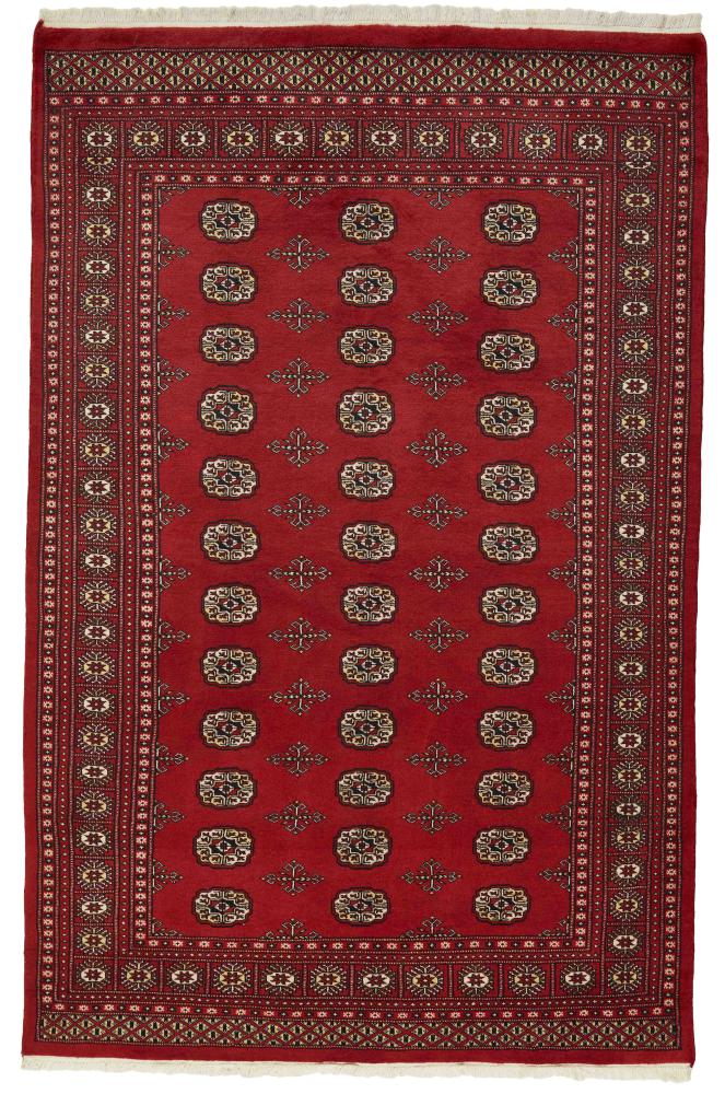 Tappeto pakistano Pakistan Buchara 2ply 259x168 259x168, Tappeto persiano Annodato a mano