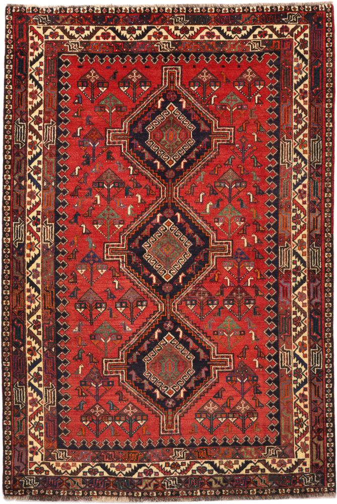 Tapete persa Shiraz 260x158 260x158, Tapete persa Atado à mão