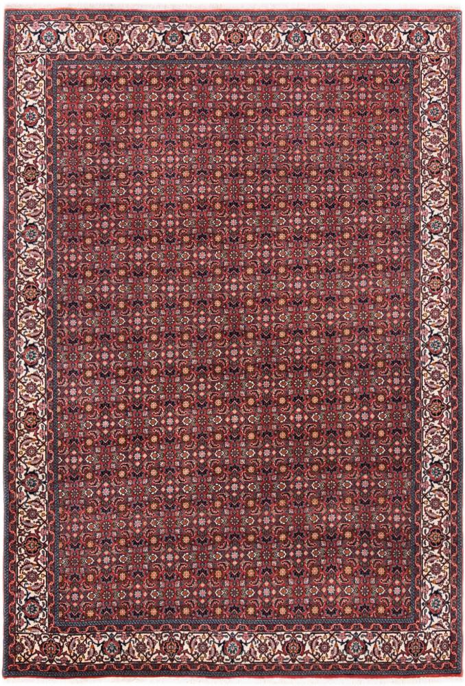 Tapis persan Bidjar 249x176 249x176, Tapis persan Noué à la main