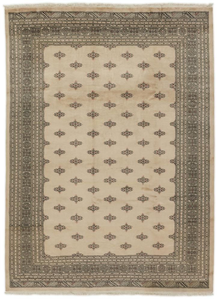 Pakistani rug Pakistan Buchara 2ply 11'1"x8'2" 11'1"x8'2", Persian Rug Knotted by hand