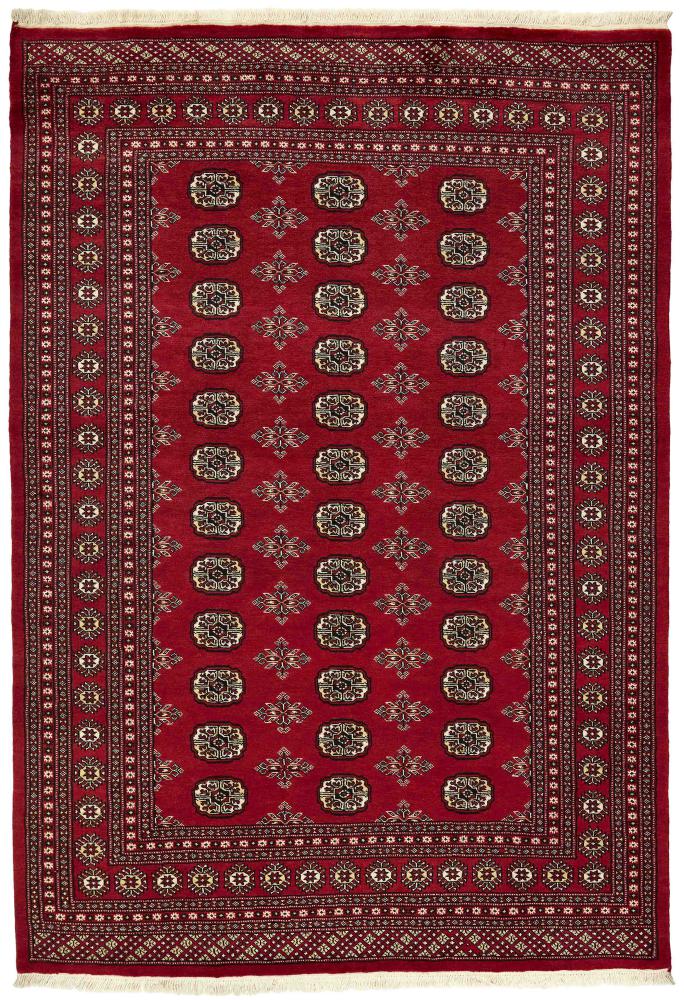 Tapis pakistanais Pakistan Buchara 2ply 246x172 246x172, Tapis persan Noué à la main