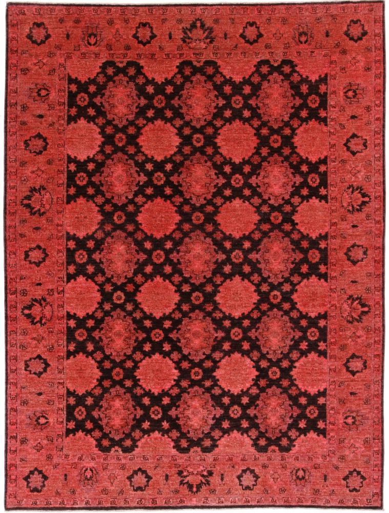 Tapis pakistanais Colored Ziegler 251x187 251x187, Tapis persan Noué à la main