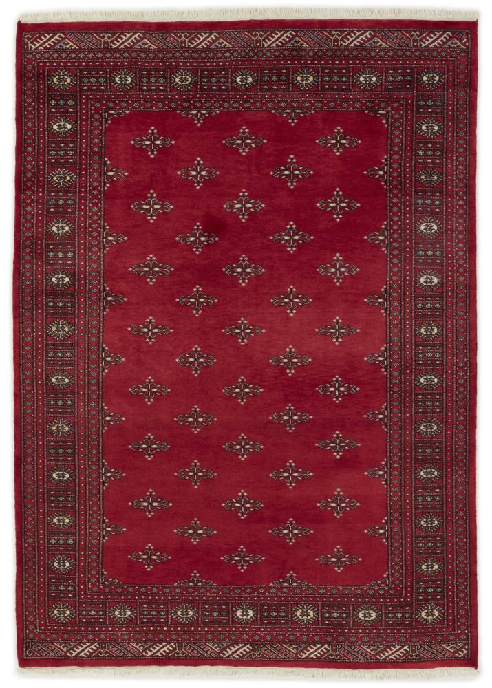 Tapis pakistanais Pakistan Buchara 2ply 244x174 244x174, Tapis persan Noué à la main