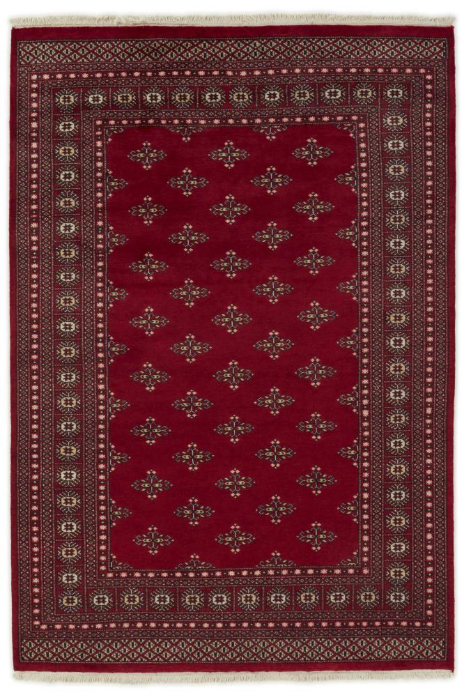 Tappeto pakistano Pakistan Buchara 2ply 248x172 248x172, Tappeto persiano Annodato a mano
