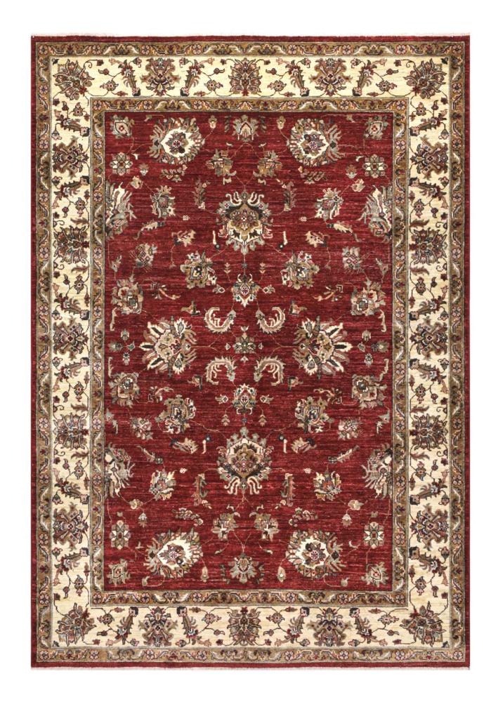 Pakistani rug Ziegler Farahan 244x170 244x170, Persian Rug Knotted by hand