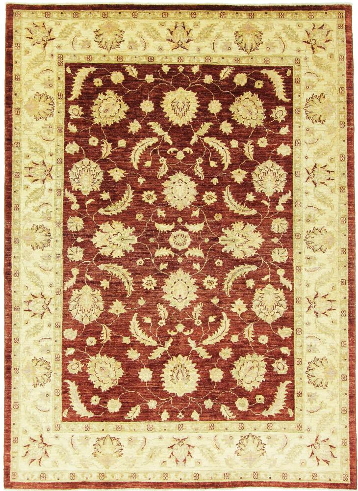 Tapis afghan Ziegler Farahan 236x171 236x171, Tapis persan Noué à la main