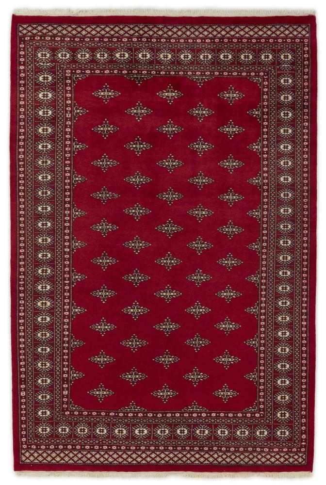 Tapis pakistanais Pakistan Buchara 2ply 252x168 252x168, Tapis persan Noué à la main