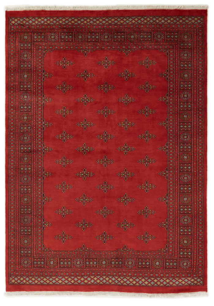 Pakistaans tapijt Pakistan Buchara 2ply 240x171 240x171, Perzisch tapijt Handgeknoopt