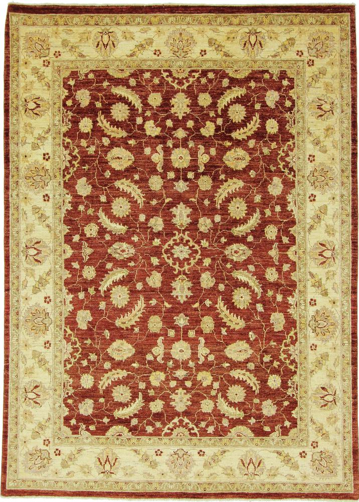 Tapis afghan Ziegler Farahan 238x173 238x173, Tapis persan Noué à la main