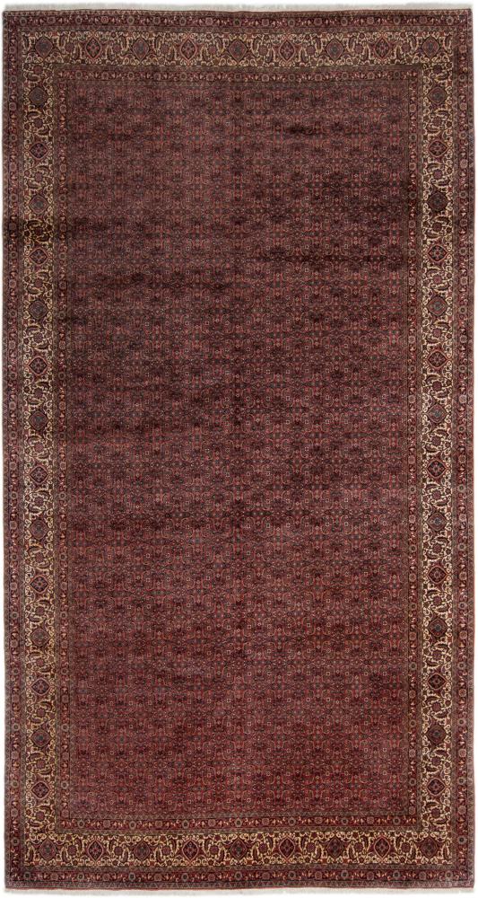 Περσικό χαλί Bidjar 481x255 481x255, Περσικό χαλί Οι κόμποι έγιναν με το χέρι