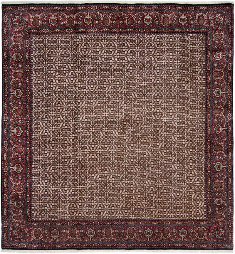 Perzisch tapijt Bidjar 365x347 365x347, Perzisch tapijt Handgeknoopte