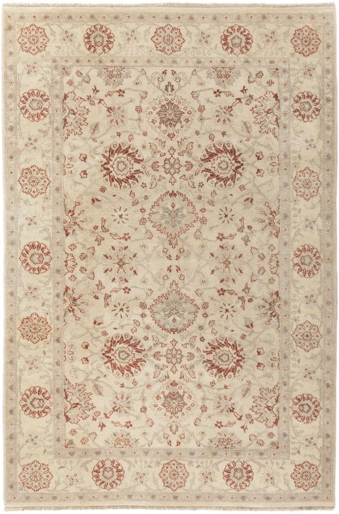 Indo rug Indo Bidjar 273x184 273x184, Persian Rug Knotted by hand