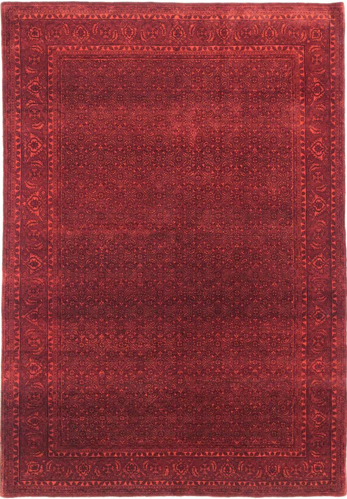 Indiai szőnyeg Gabbeh Loribaft Design 8'3"x5'8" 8'3"x5'8", Perzsa szőnyeg Kézzel csomózva