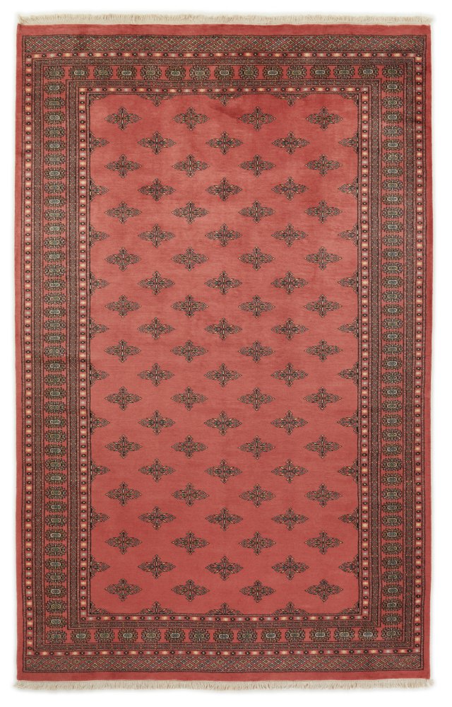Tapete do Paquistão Paquistão Buchara 2ply 315x197 315x197, Tapete persa Feito à mão