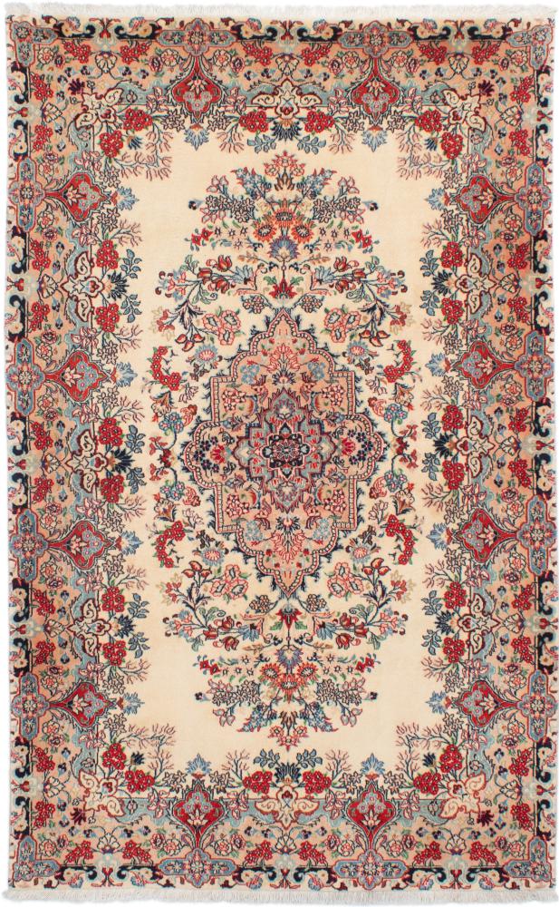 Tapis persan Kerman Rafsanjan 244x153 244x153, Tapis persan Noué à la main