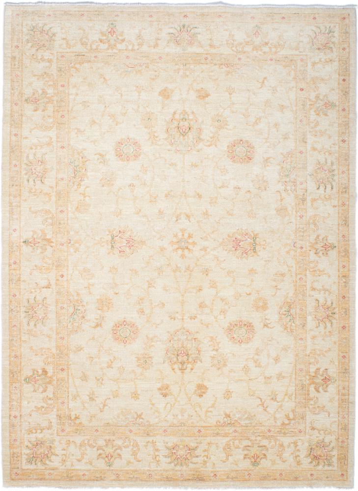 Pakistani rug Ziegler Farahan Arijana 7'9"x5'9" 7'9"x5'9", Persian Rug Knotted by hand