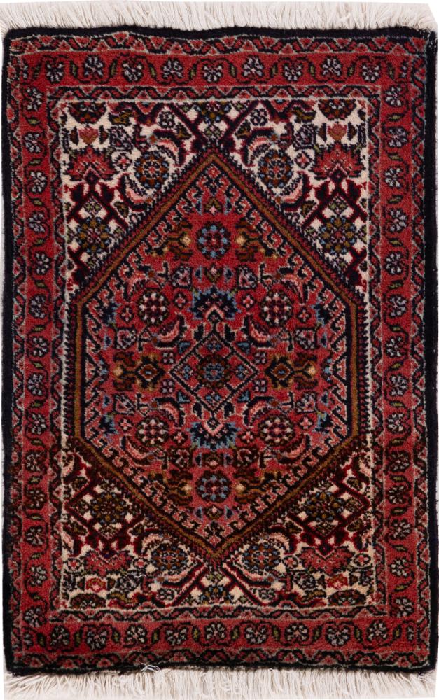 Persian Rug Bidjar 61x41 61x41, Persian Rug Knotted by hand