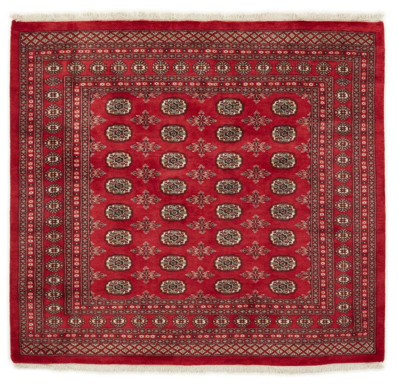 Tapis pakistanais Pakistan Buchara 2ply 184x201 184x201, Tapis persan Noué à la main