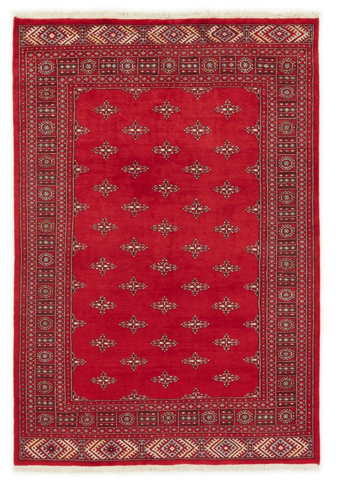 Pakistani rug Pakistan Buchara 2ply 248x171 248x171, Persian rug Hand-knotted