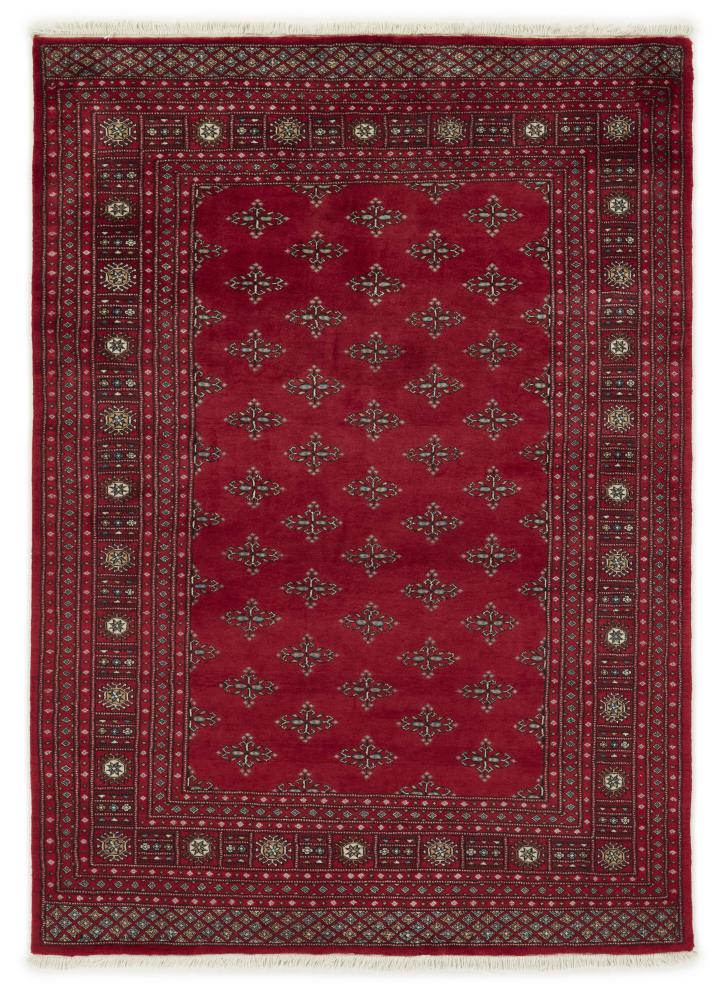 Pakistansk teppe Pakistan Buchara 3ply 236x170 236x170, Persisk teppe Håndknyttet