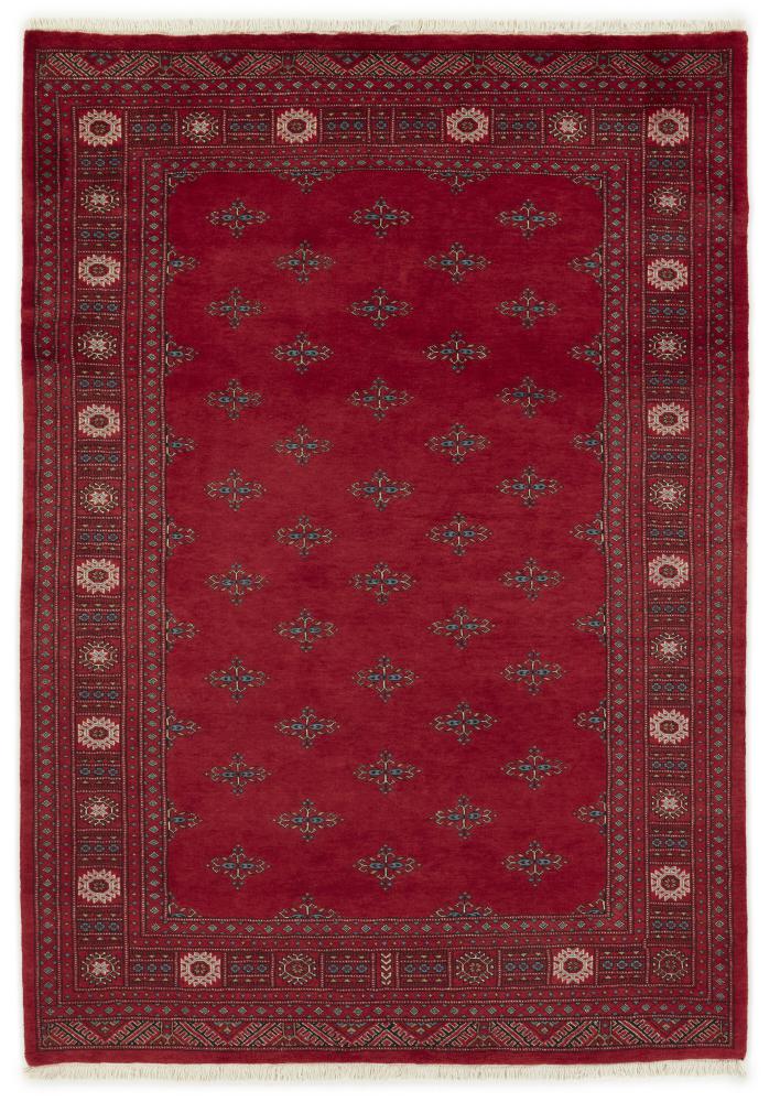Pakistani rug Pakistan Buchara 3ply 241x169 241x169, Persian rug Hand-knotted