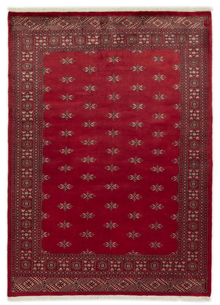 Tappeto pakistano Pakistan Buchara 3ply 243x175 243x175, Tappeto persiano Annodato a mano